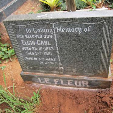 FLEUR Elgin Carl, le 1963-1981