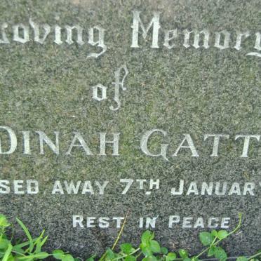 GATT Dinah -1975