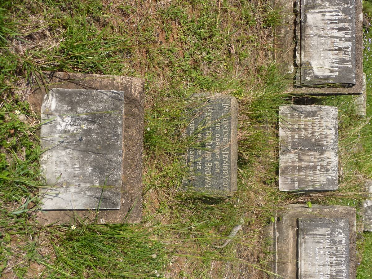 GREENLEES William James -1941 :: BROWN Thomas -1968 &amp; Elizabeth Lavinia -1965 :: BROWN Kenneth Gavin -1941