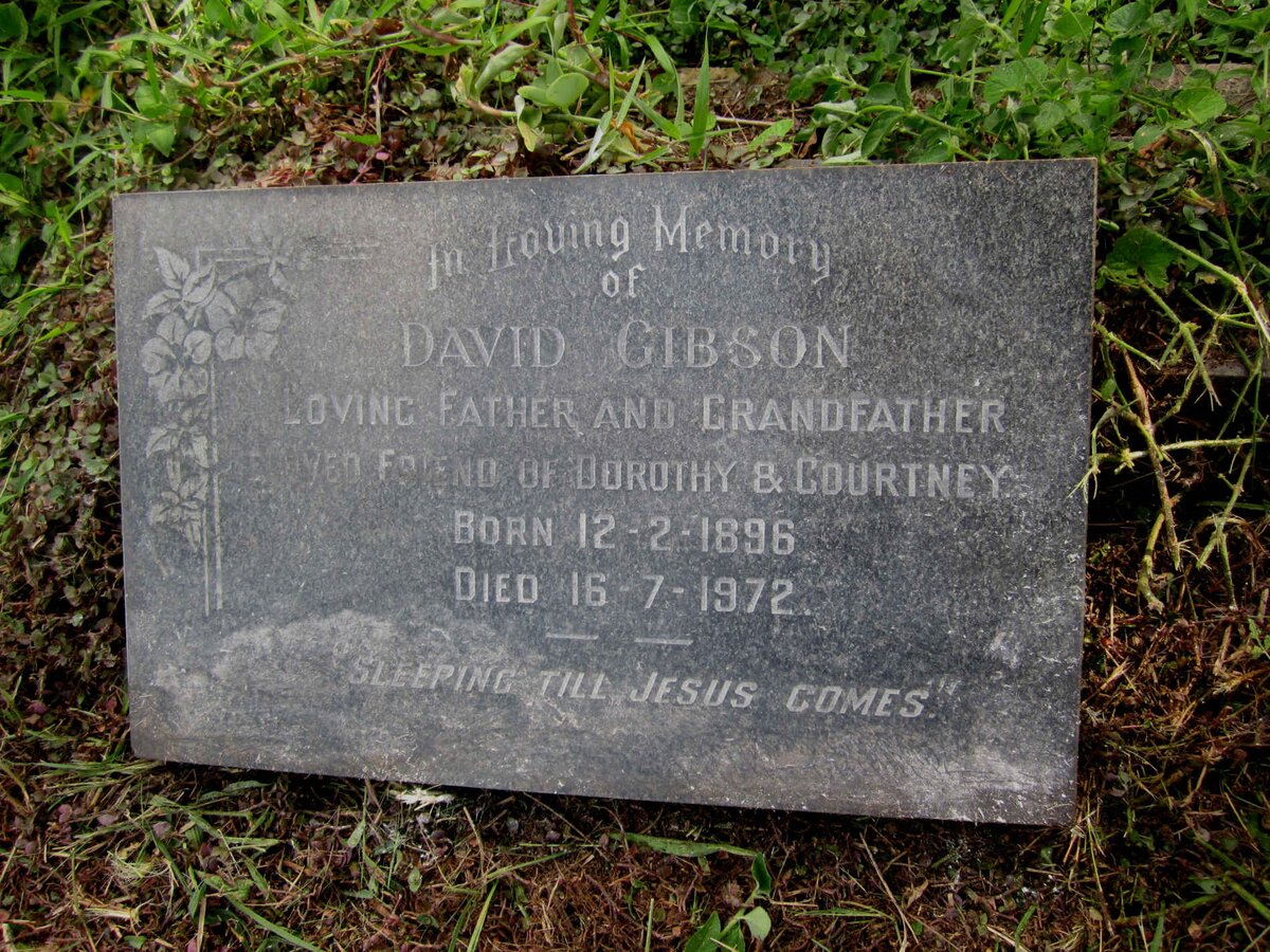 GIBSON David 1896-1972