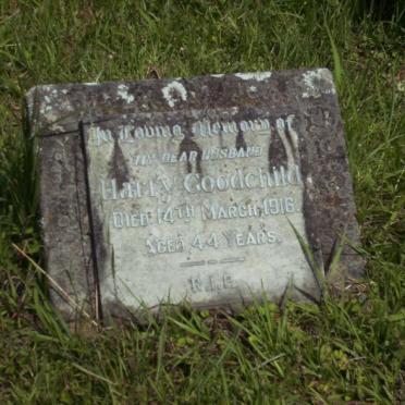 GOODCHILD Harry -1916