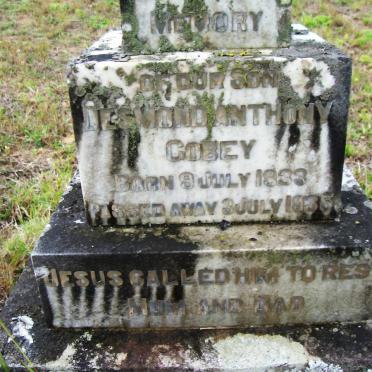 GOBEY Desmond Anthony 1933-1935