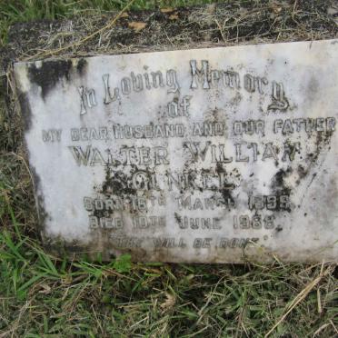 GUNKEL Walter William 1899-1968