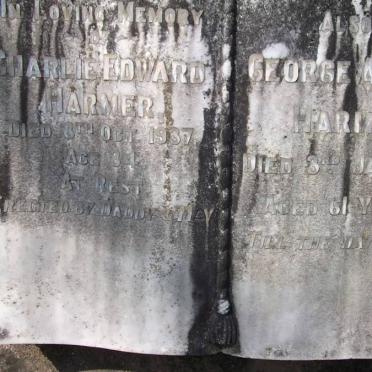 HARMER Charlie Edward -1937 :: HARMER George Albert -1939