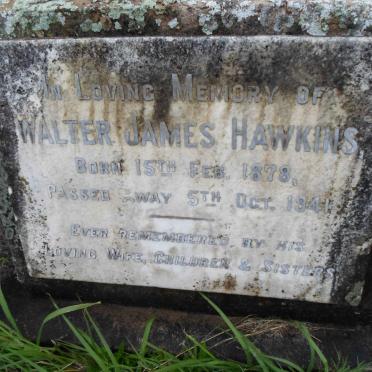 HAWKINS Walter James -1878-1941