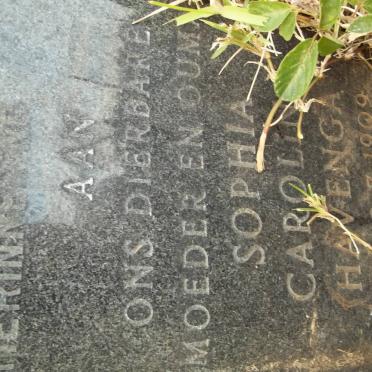 HAVENGA Johannes Maxemiliaan 1901-1970 &amp; Sophia Carolina 1909-1976