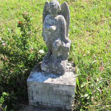 HARMSWORTH Helen -1931 :: HARMSWORTH Alfred J. -1943 :: HARMSWORTH Basil Leslie 1923-1989