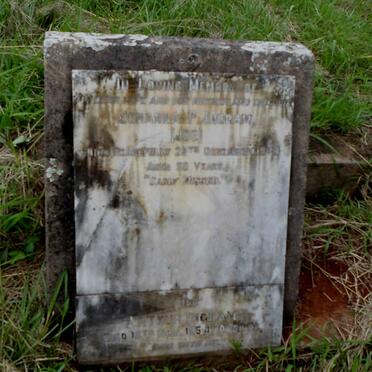 INGRAM Arthur -1954 :: INGRAM Johanna P. -1943