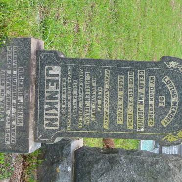 JENKIN Celia Ann -1934 :: JENKIN Richard 1946 &amp; C. Helen -1941