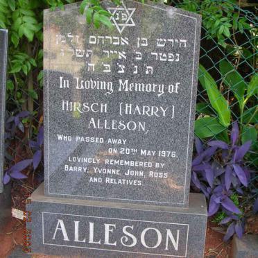 ALLESON Hirsch -1976