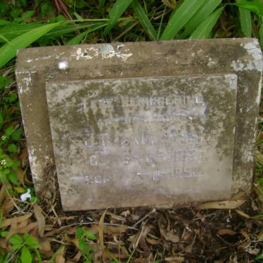 KALTWASSER Stephanus Johannes Geldenhuys 1882-1952