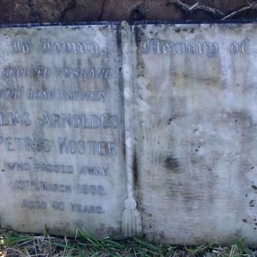  KOSTER Elias Arnoldus Petrus -1966 