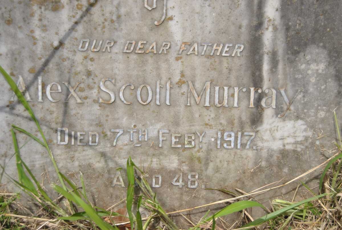MURRAY Alex Scott -1917