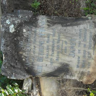 McINNES Neil Bethune -1929 &amp; Janet -1941