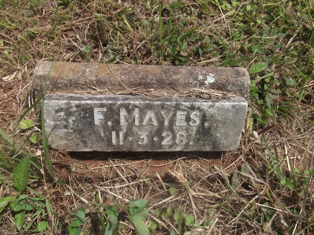 MAYES F. -1928