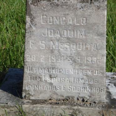 MESQUITA Congalo Joaquim F.S. 1931-1982