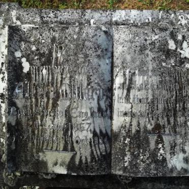 MILLARD Albert 1867-1934