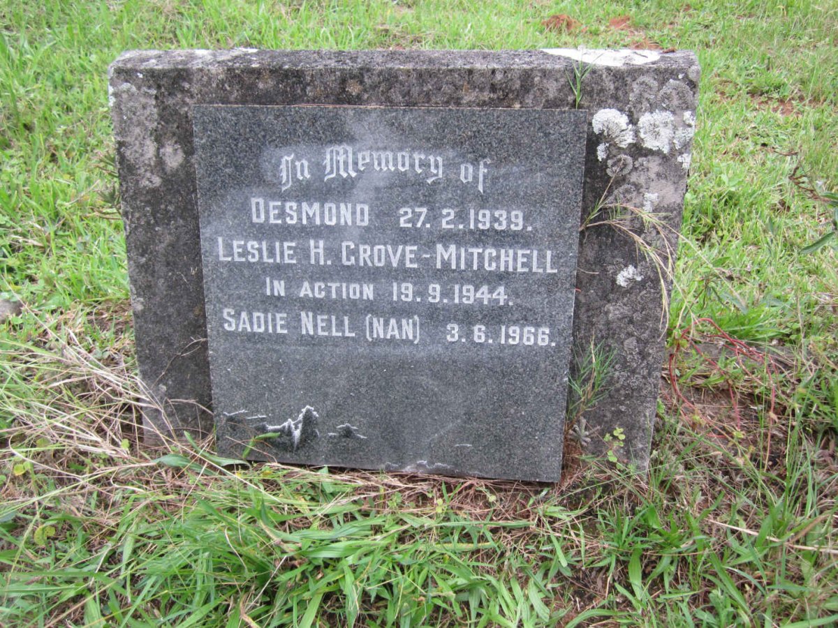 MITCHELL Leslie H. Grove -1944 :: MITCHELL Desmond John Grove -1939 :: NELL Sarah -1966