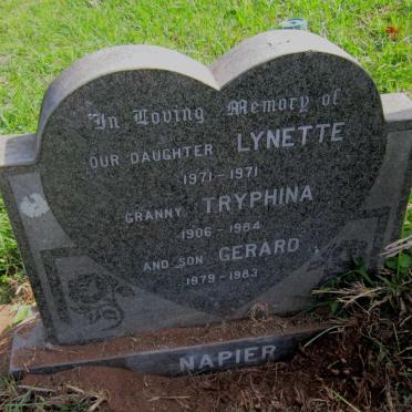 NAPIER Tryphina 1906-1984 :: NAPIER Lynette 1971-1971 :: NAPIER Gerard 1979-1983