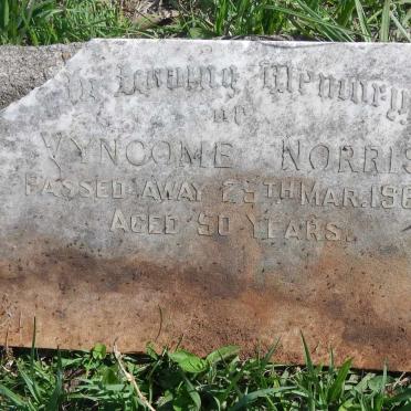 NORRIS Vyncome -1966