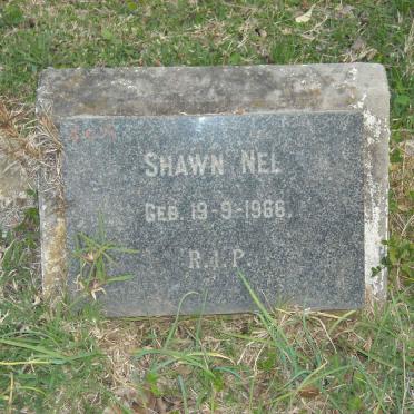 NEL Shawn 1966