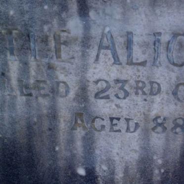 NICHOL Stransham Ford -1931 :: NICHOL Myrtle Alice -1971 :: NICHOL Leonard Anthony -1942 