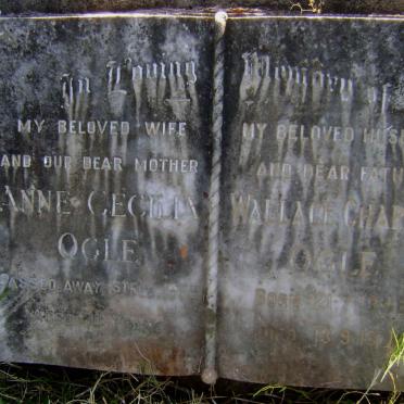 OGLE Anne Cecilia -1959 :: OGLE Wallace Charles 1948-1979 :: OGLE William Wallace 1923-1983