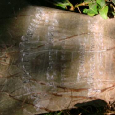 PAVILLON Marie Adele, du -1928 :: DU PAVILLON Felix Edouard -1959