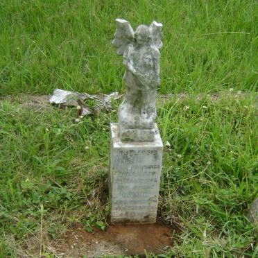 PLESSIS Dawie, du -1945