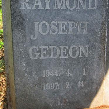 PLISNIER Raymond Joseph Gedeon 1944-1997