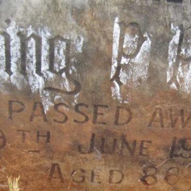 PEDLAR Eling Phyllis -1984