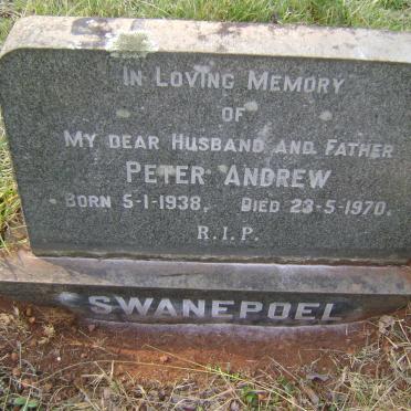 SWANEPOEL Peter Andrew 1938-1970