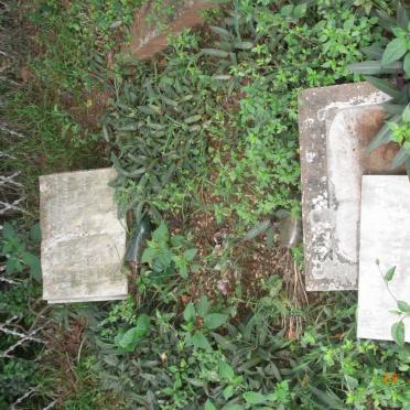 SEALE Henry William -1950 &amp; Phoebe Rebecca -1957 