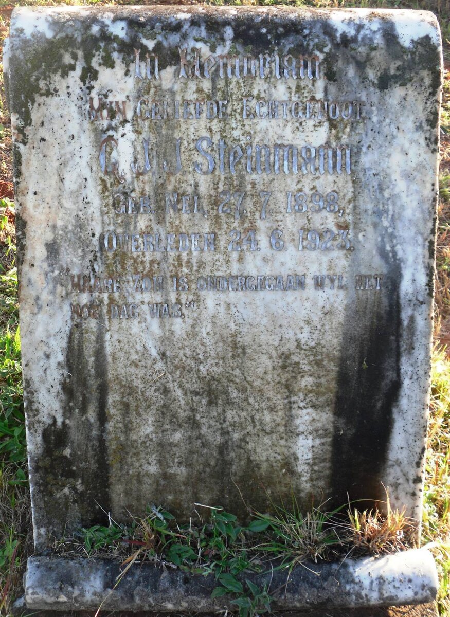 STEINMANN G.J.J. 1898-1923