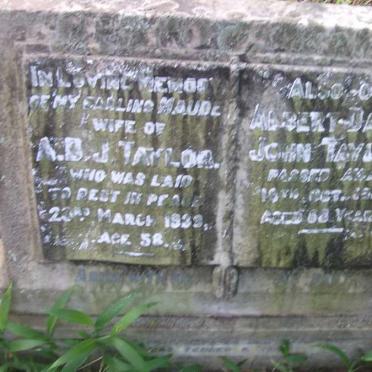 TAYLOR Albert David John 1875-1941 &amp; Maude -1939