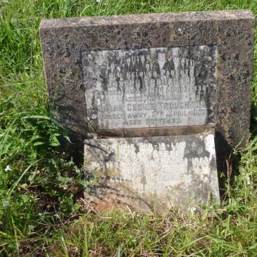 TROUGHTON Joseph -1936 &amp; Susan Cecile -1950 :: STEEL Percy -1969