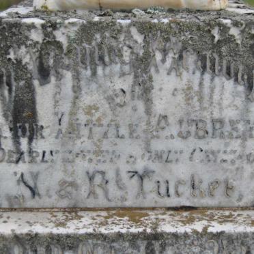 Tu - Surnames starting with the letters Tu