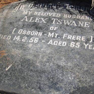 TSWANE Alex -1956