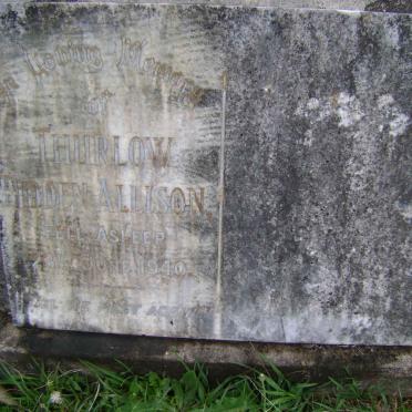 THURLOW Bidden Allison -1940