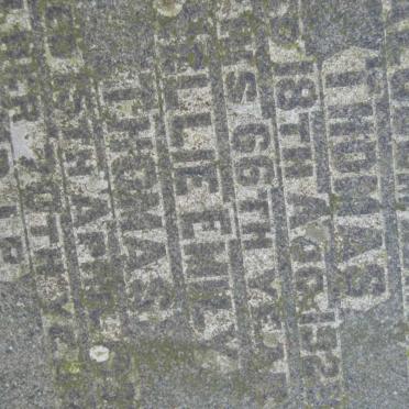 THOMAS Malcolm Edmund -1928 &amp; Nellie Emily -1932