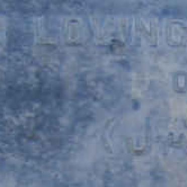 VERGERS John H.E. -1931