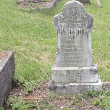 WIGGILL William Anmer -1960 &amp; Fanny Jane HART -1929