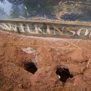 WILKINSON William Asaph -1954 &amp; Marion -1964