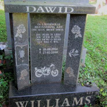 WILLIAMS Dawid 1980-2000