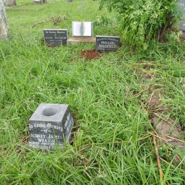 WEAICH :: WADDELL :: LORING