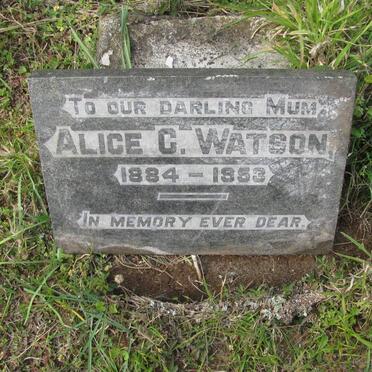 WATSON Alex C. -1935 :: WATSON Ian -1938 :: WATSON Fred -1941 :: WATSON Alice C. 1884-1953