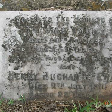 YOUNG Thomas -1933 :: McEWAN Henry Buchan -1911