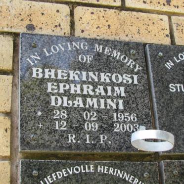 DLAMINI Bhekinkosi Ephraim 1956-2003