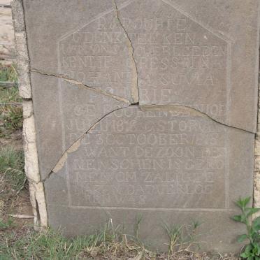 FOURIE Cresstina Johanna Suvia 18?8-18?8