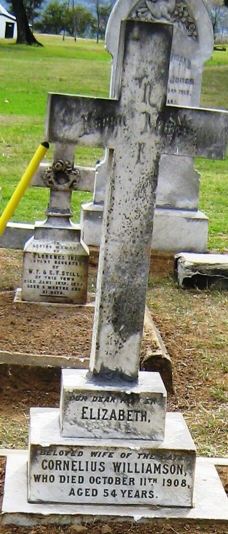 WILLIAMSON Elizabeth -1908